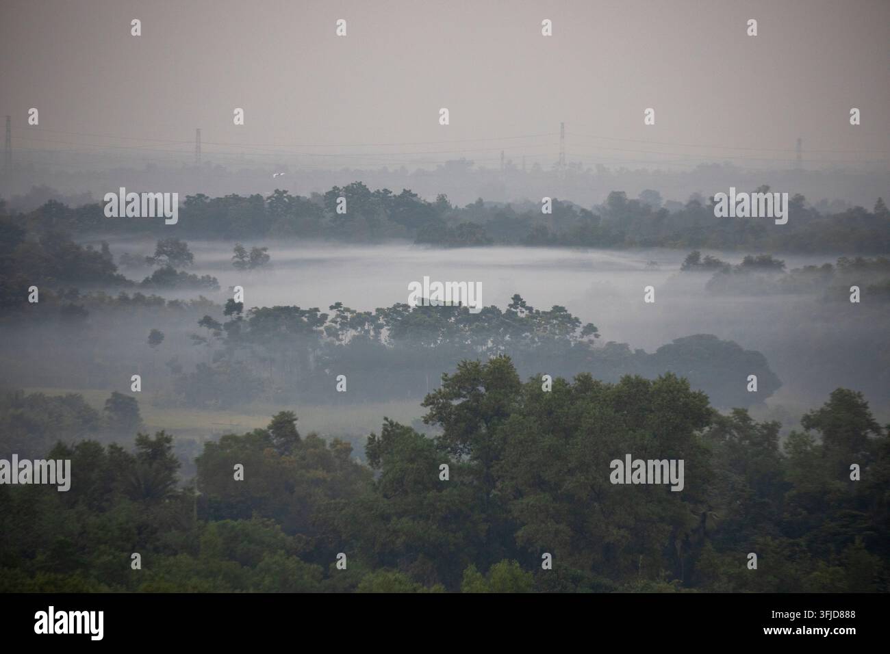 Un paesaggio rurale nebbioso a Kaliakair, Gazipur, Bangladesh, poco prima del tramonto all'inizio dell'inverno. Una morbida coltre di nebbia stagionale copre il Foto Stock
