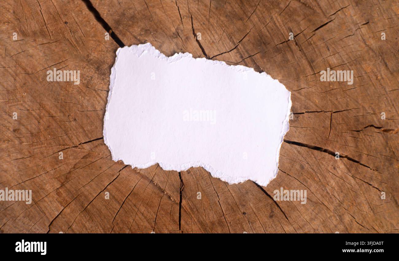 Carta bianca strappata vuota su sfondo in legno con anelli dell’albero. Ideale come modello rustico per note, branding, annunci, etichette di prodotti e design creativo Foto Stock