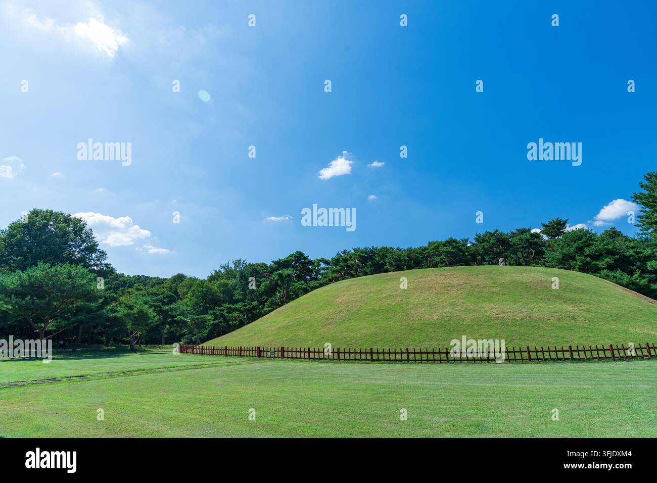Seoul, Corea del Sud - 19 set. 2026: Vista panoramica della tomba reale del re Jungjong circondata da pini e prato verde a Seonjeongneung, Seoul Foto Stock