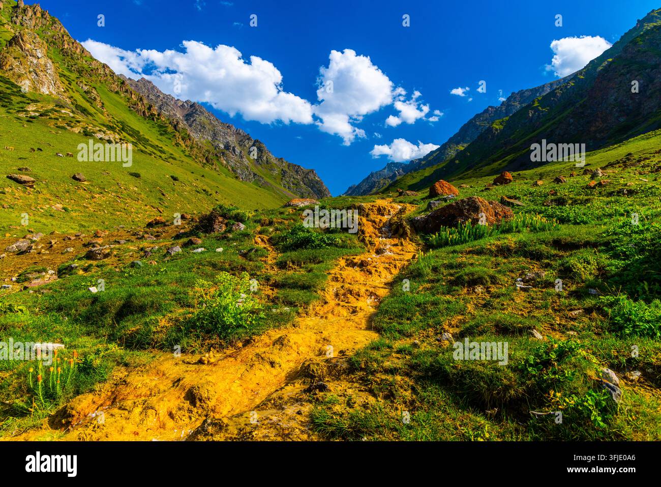 Paesaggio montano con terreno roccioso e erba verde rigogliosa. Un piccolo ruscello con batteri ossidanti del ferro scorre attraverso la valle sotto un cielo azzurro. Foto Stock