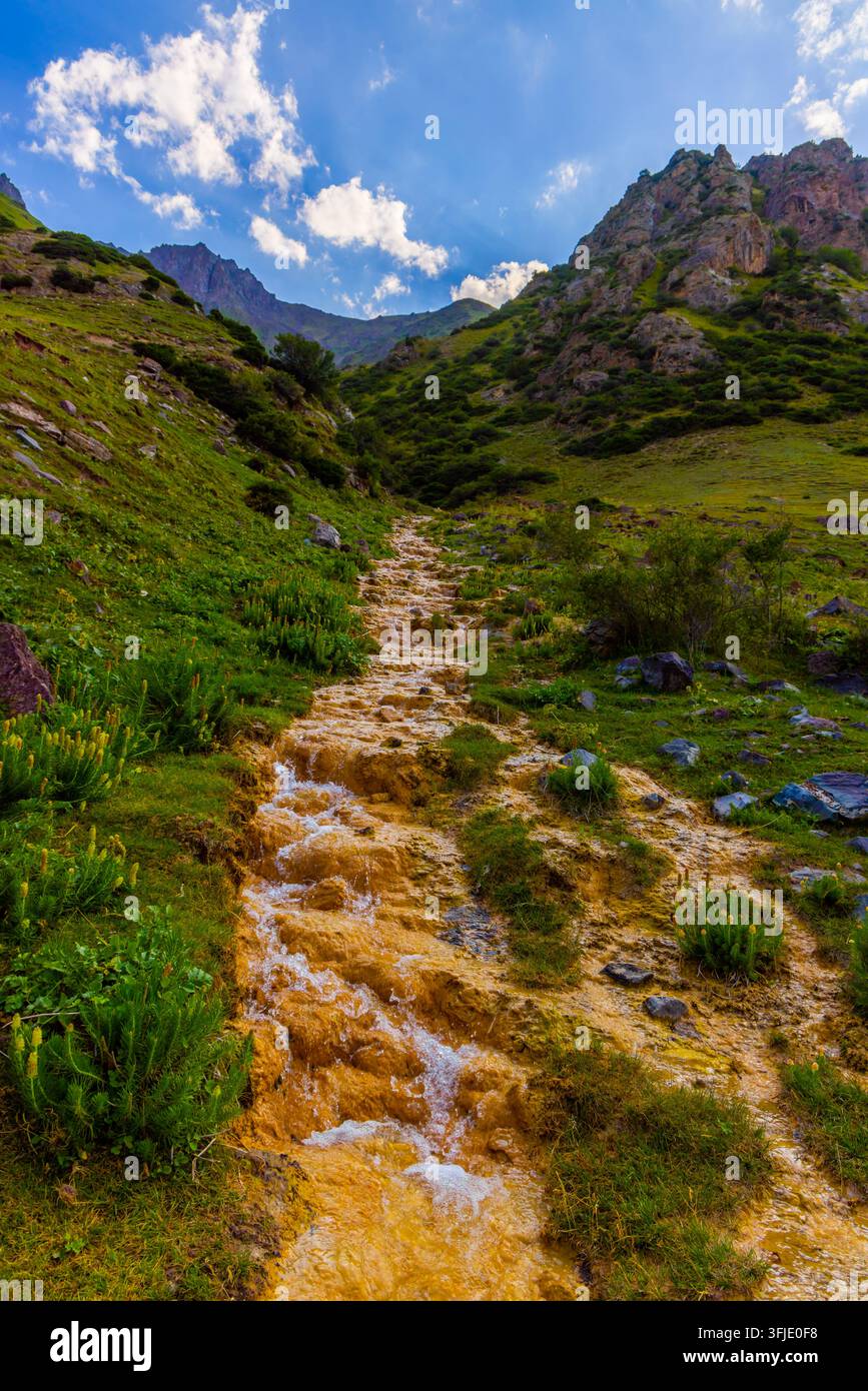 Ruscello tranquillo ricco di ferro si snoda su rocce lisce, circondato da erba rigogliosa e montagne imponenti. La luce diurna esalta il paesaggio naturale tranquillo Foto Stock