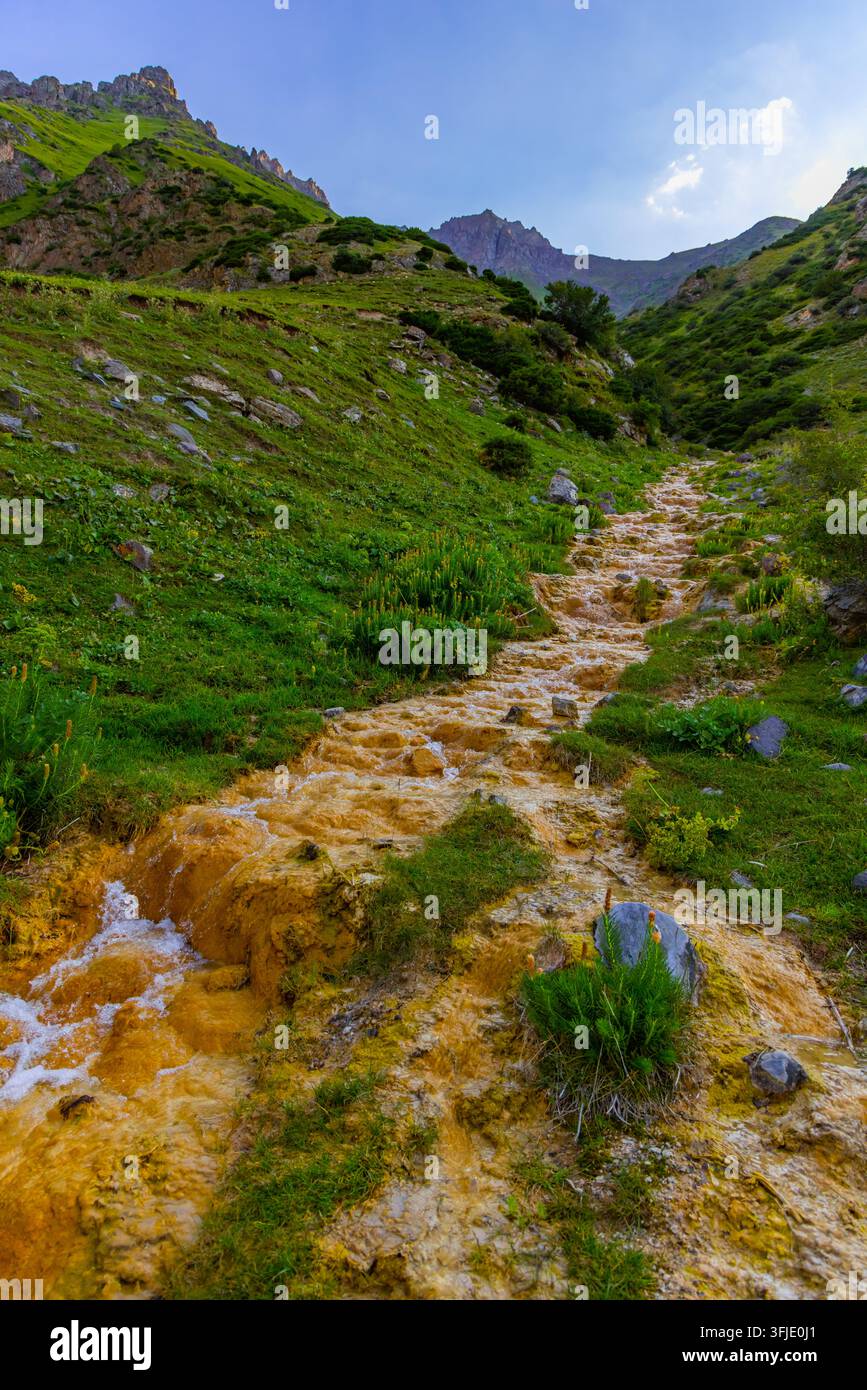 Paesaggio naturale con un ruscello sereno che si snoda attraverso montagne aspre. Batteri ossidanti del ferro rendono il letto del ruscello arancione. Foto Stock