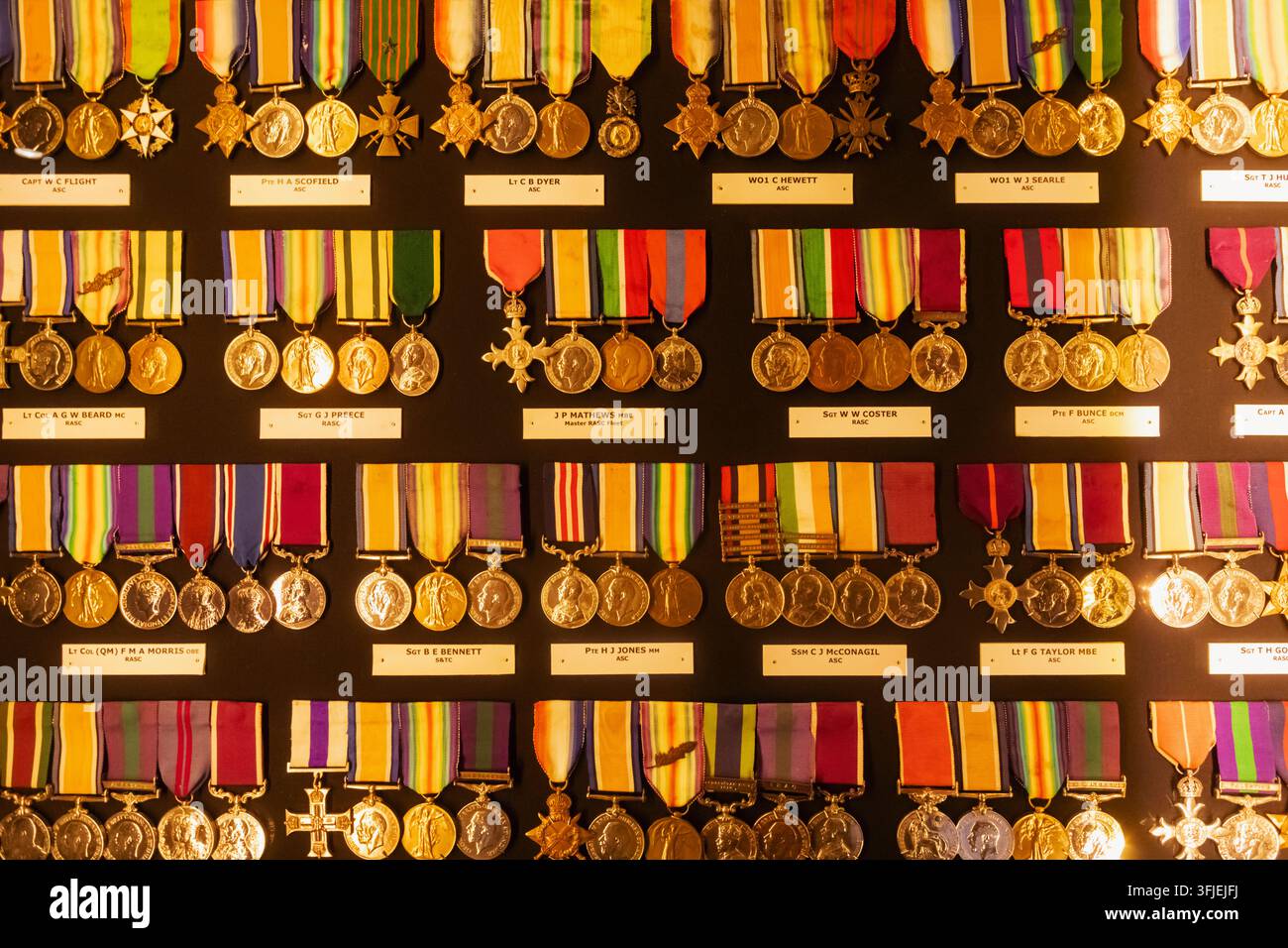 Inghilterra, Hampshire, Winchester, MOD Worthy Down, Il Museo Militare del Royal Logistic Corps, Esposizione di medaglie Foto Stock