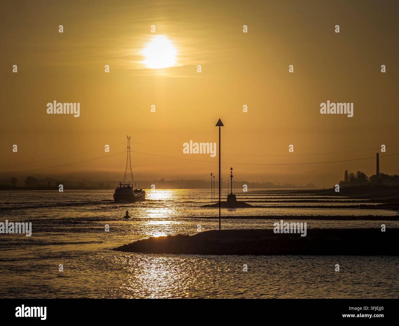 Chimera fluviale che naviga su acque calme durante un'alba dorata, catturando una vista tranquilla del paesaggio lungo la Waal Foto Stock