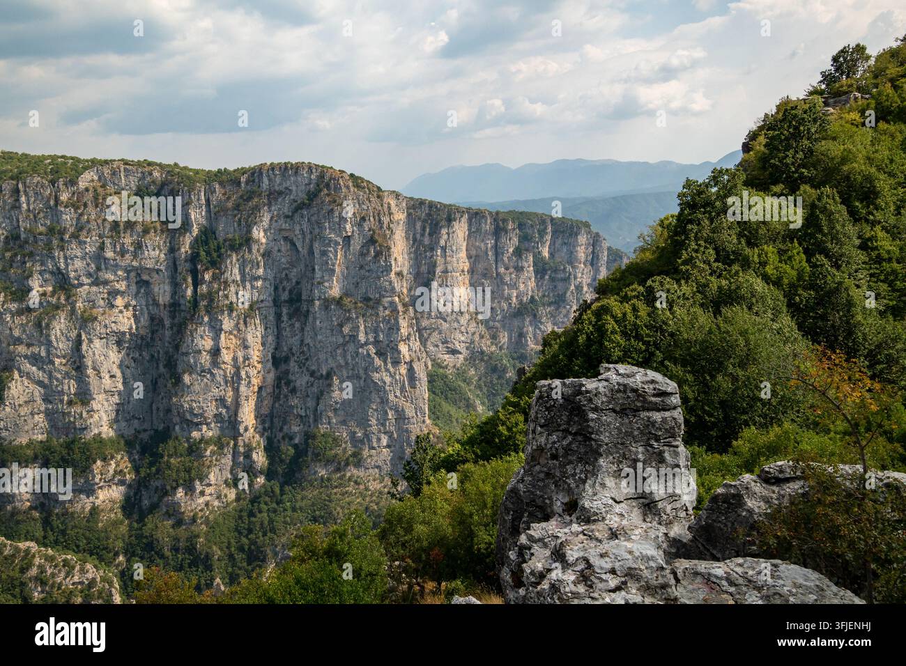 Gorgo di Vikos a Zagori, Epiro, Grecia, con pareti di calcare, montagne boschive e primo piano roccioso. Foto Stock