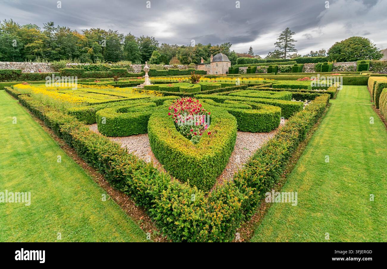 Giardino murato del XVII secolo di Pitmedden nell'Aberdeenshire in Scozia aiuole di parterre e fiori le siepi di bosso alla fine dell'estate Foto Stock