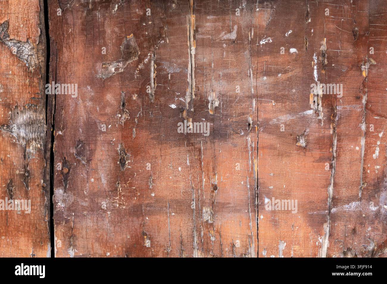Primo piano di assi di legno consumate con vernice scrostata, crepe e venatura ruvida. Foto Stock