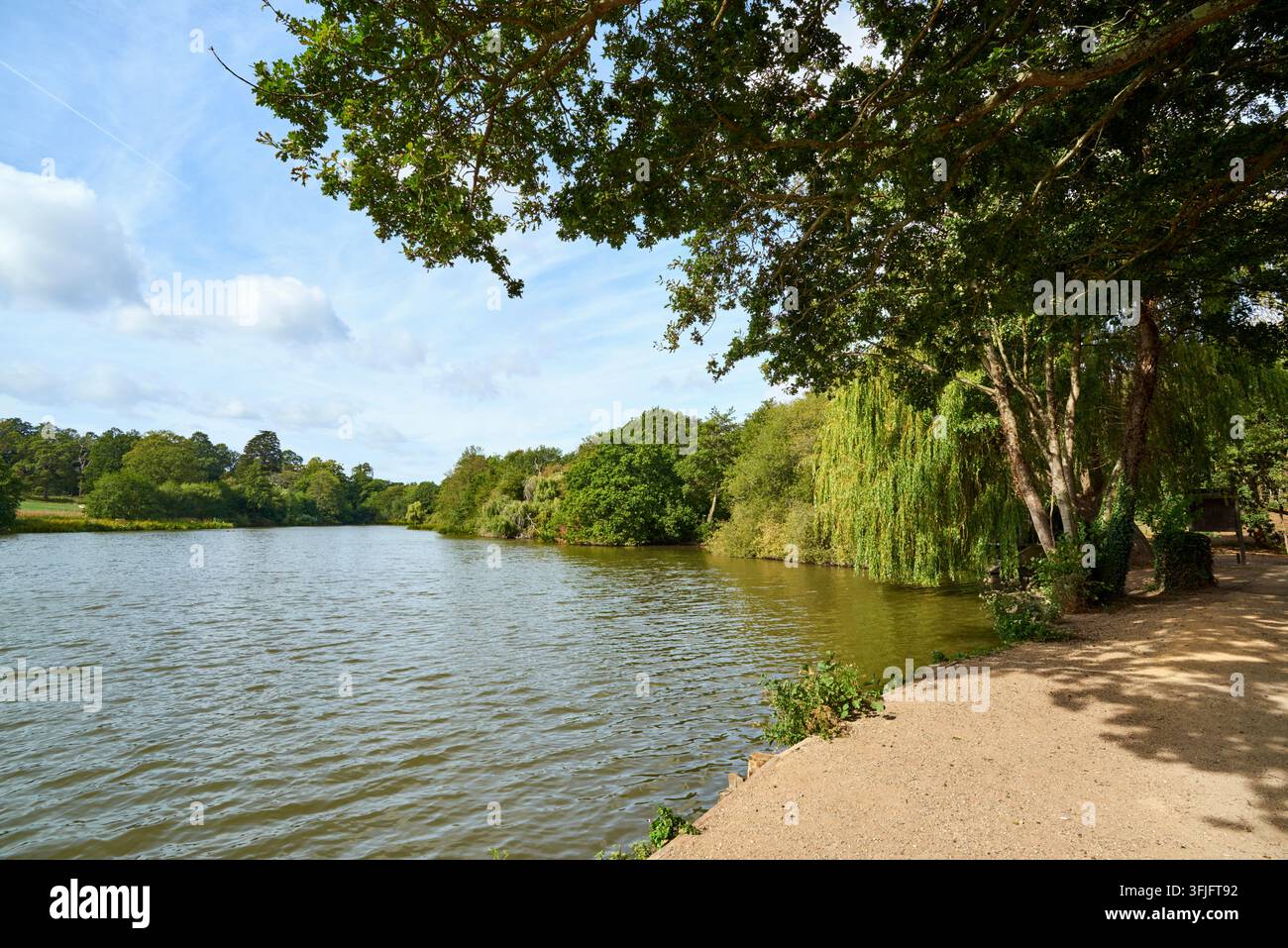 Trent Country Park e lago, nel borgo londinese di Enfield, Grande Londra, Regno Unito Foto Stock