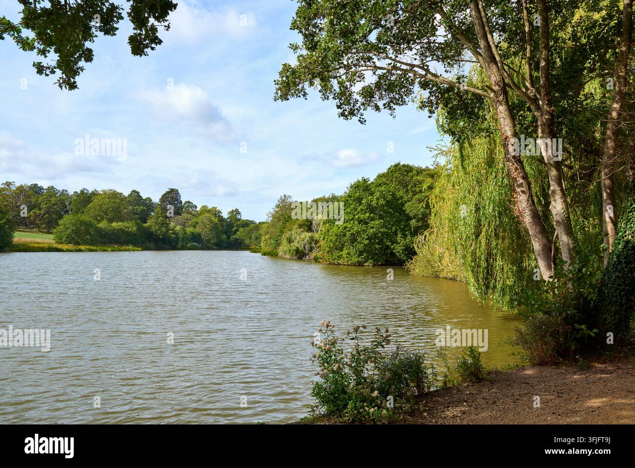 Trent Country Park e lago, quartiere di Londra Enfield, Grande Londra UK Foto Stock