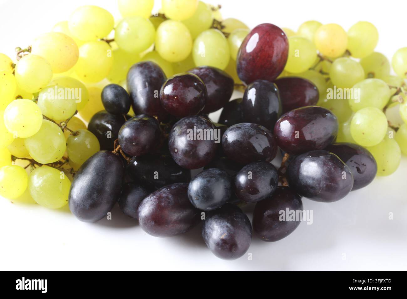 Grappoli di uva fresca verde e viola scuro appoggiati su una superficie di piatto bianco Foto Stock