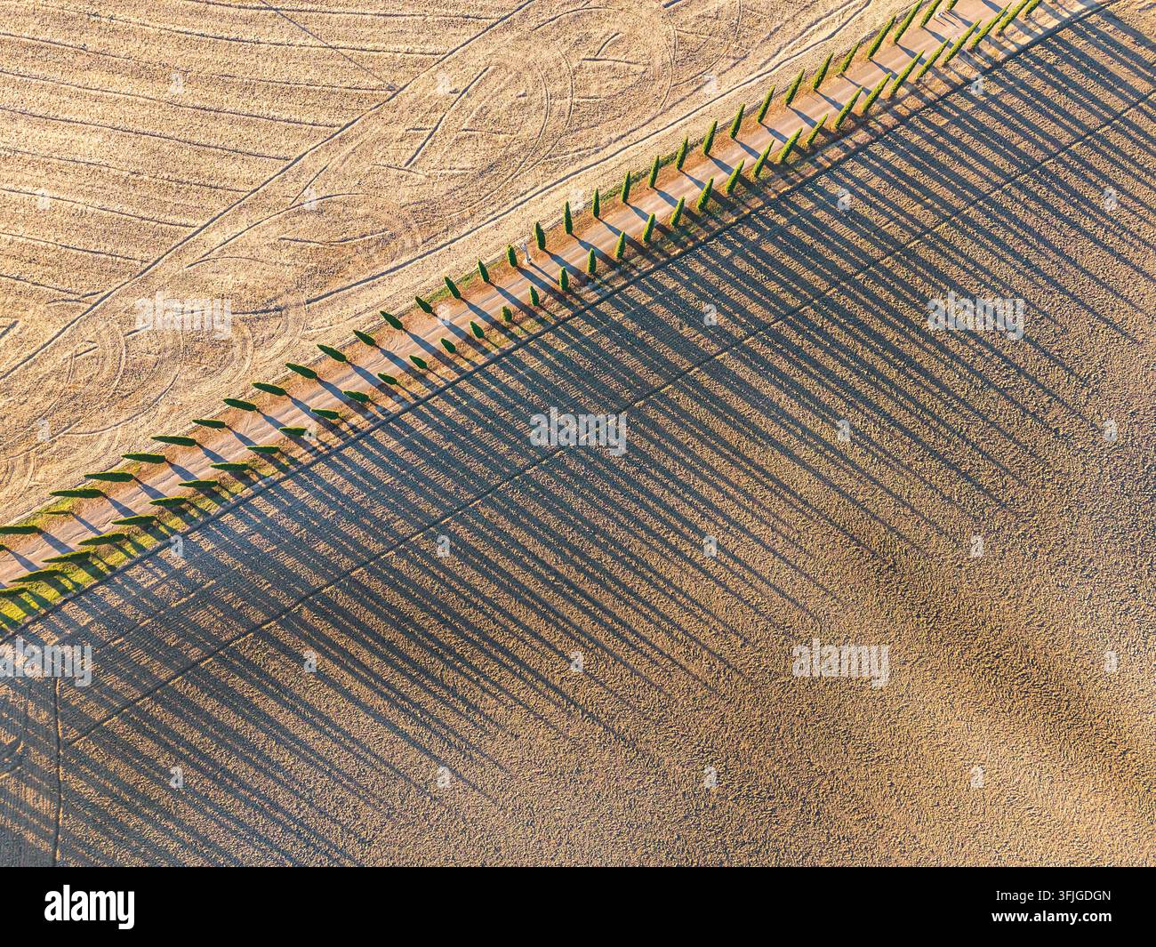 Il raggio dell'alba proietta l'ombra di una fila di cipressi sul terreno arato con bellissimi motivi, Toscana, Italia Foto Stock