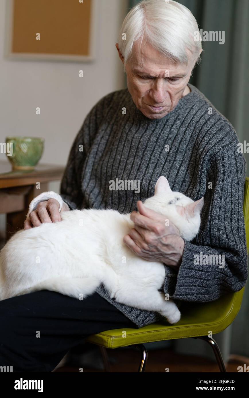 Uomo anziano leale che tiene un gatto bianco con affetto a casa. Proprietario di animali anziano che culla il felino con amore e affetto caloroso all'interno. Nonno che nutre l'animale amato con cura fedele Foto Stock