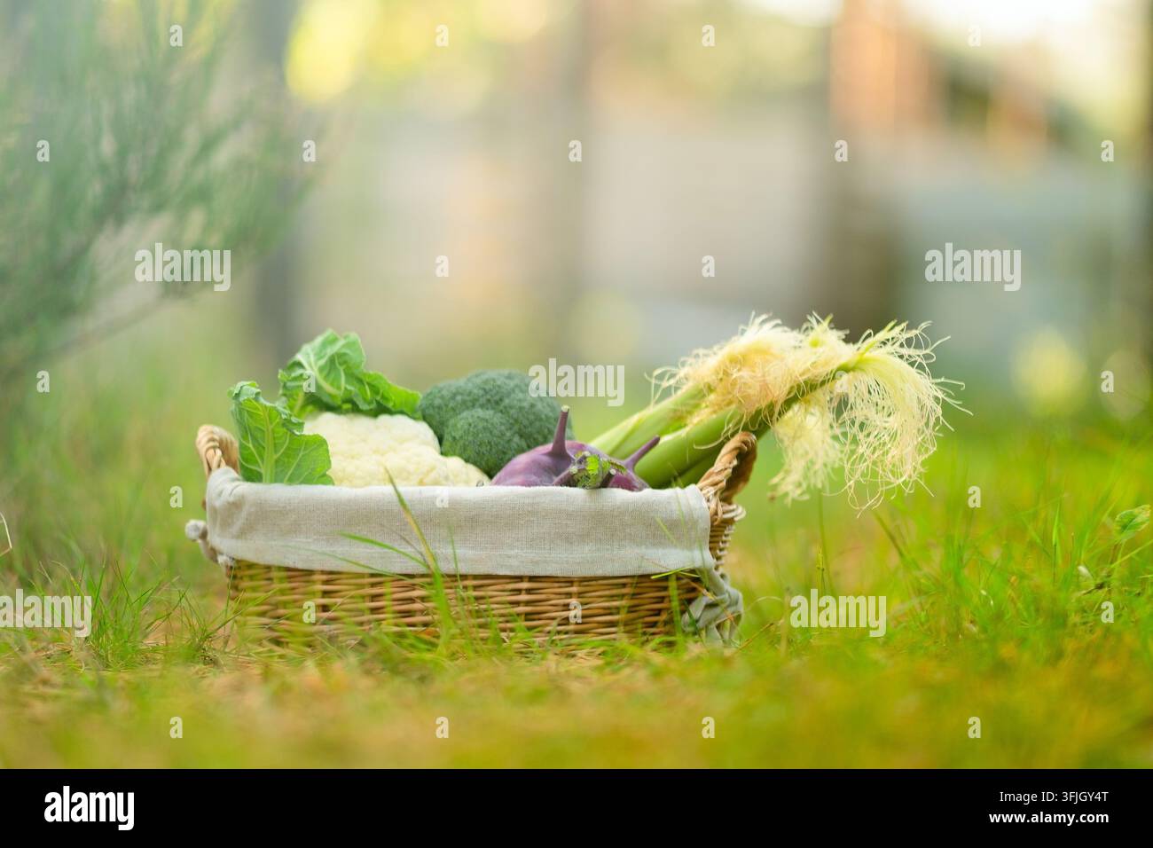 Cesto di vimini con raccolto di broccoli, cipolla rossa e sedano si posa sull'erba all'aperto in una giornata di sole. Le verdure disposte all'interno mostrano una esposizione sana e fresca di prodotti puliti e organizzati nella calda luce del sole Foto Stock
