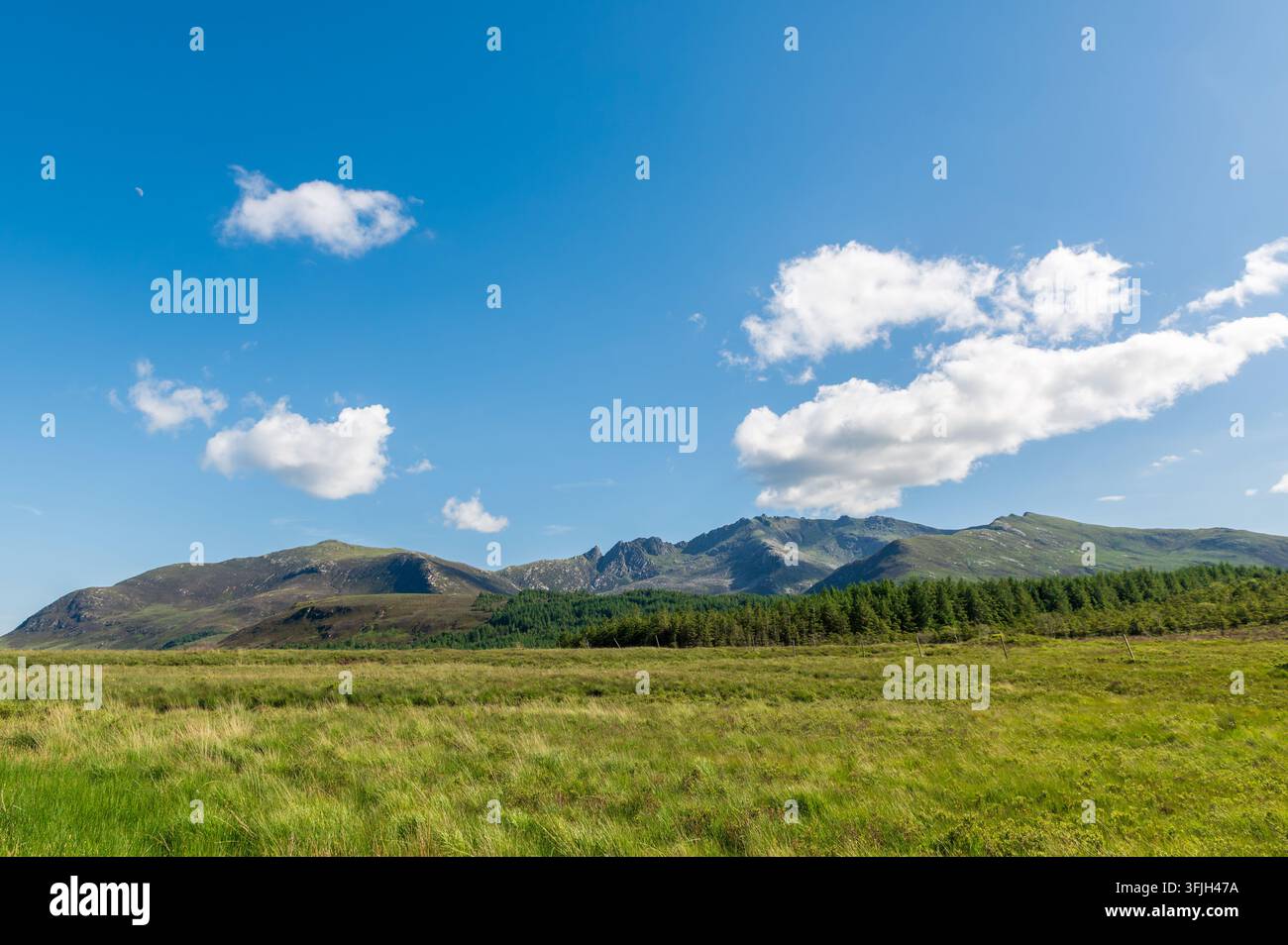 Vista di una catena montuosa bassa in lontananza dietro un grande prato verde, giornata soleggiata, Isola di Arran, Scozia Foto Stock