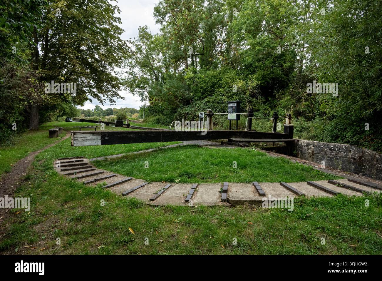 Piccioni bloccano vicino a Tackley sul South Oxford Canal, Oxfordshire, Inghilterra, Regno Unito Foto Stock