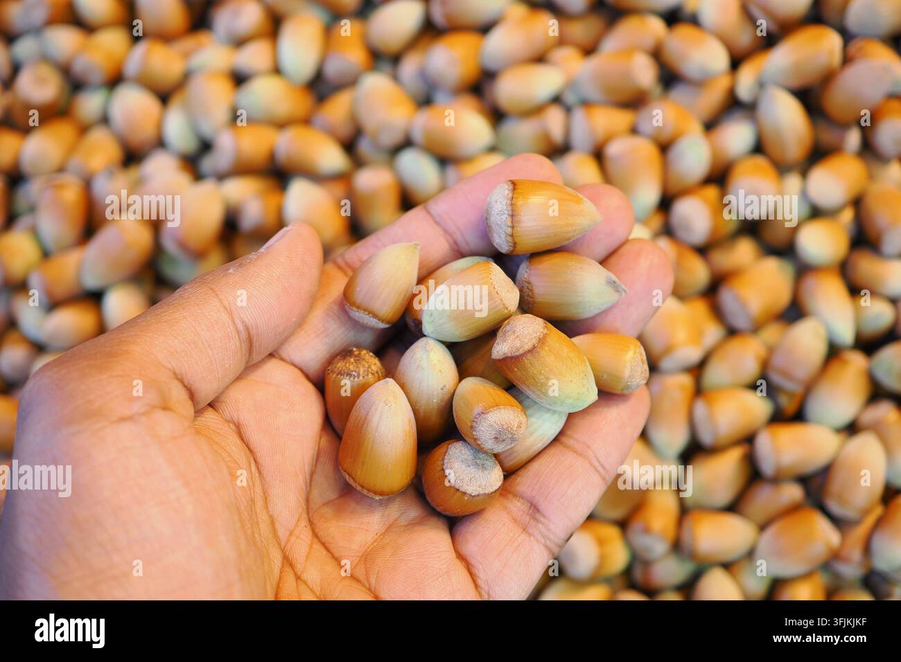Mano che tiene nocciole con molte altre sullo sfondo in un mercato Foto Stock