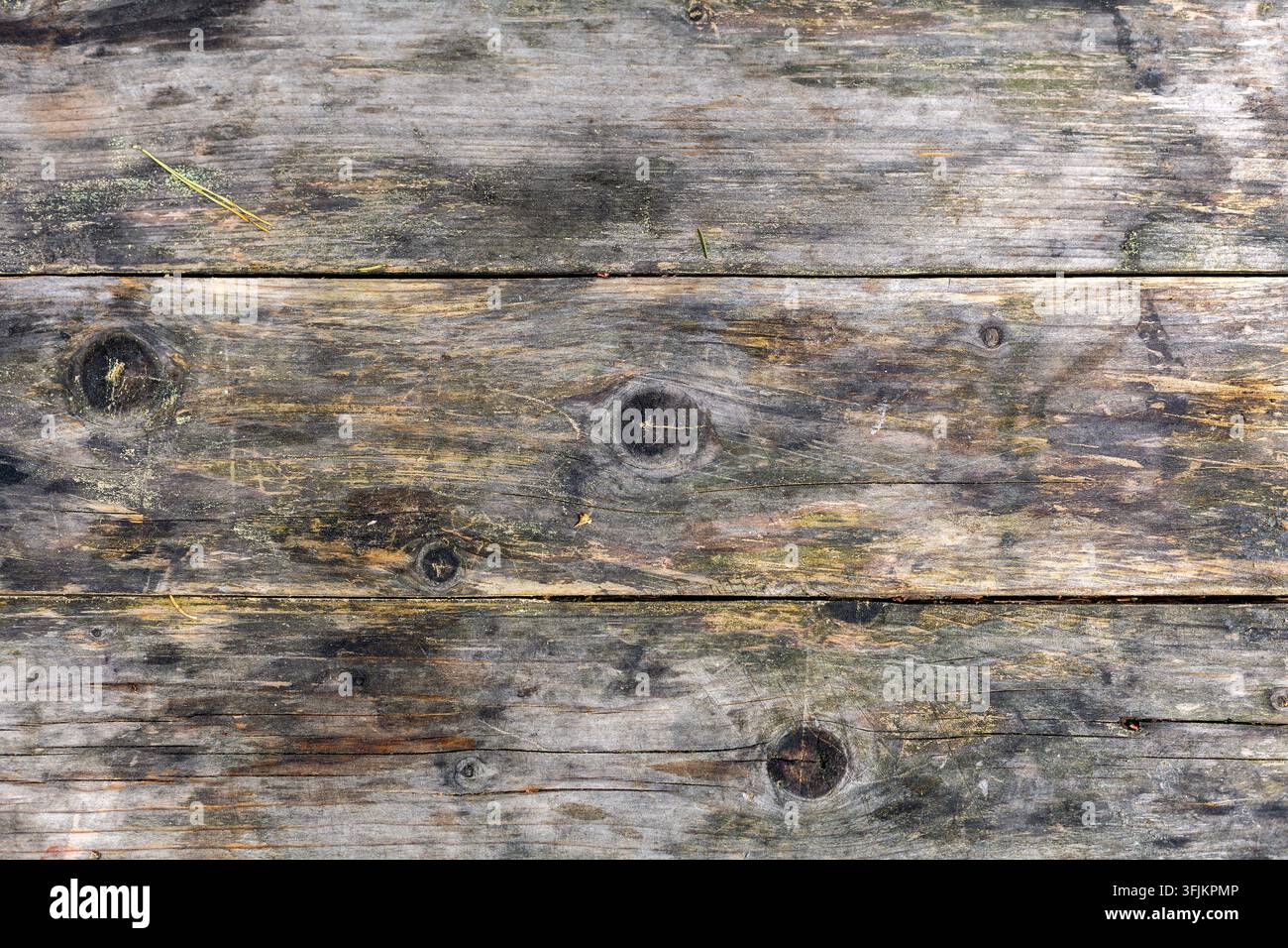 Sfondo texture di assi di legno stagionate. Primo piano di assi di legno invecchiate e stagionate con venature visibili, nodi e texture della superficie consumata. Foto Stock