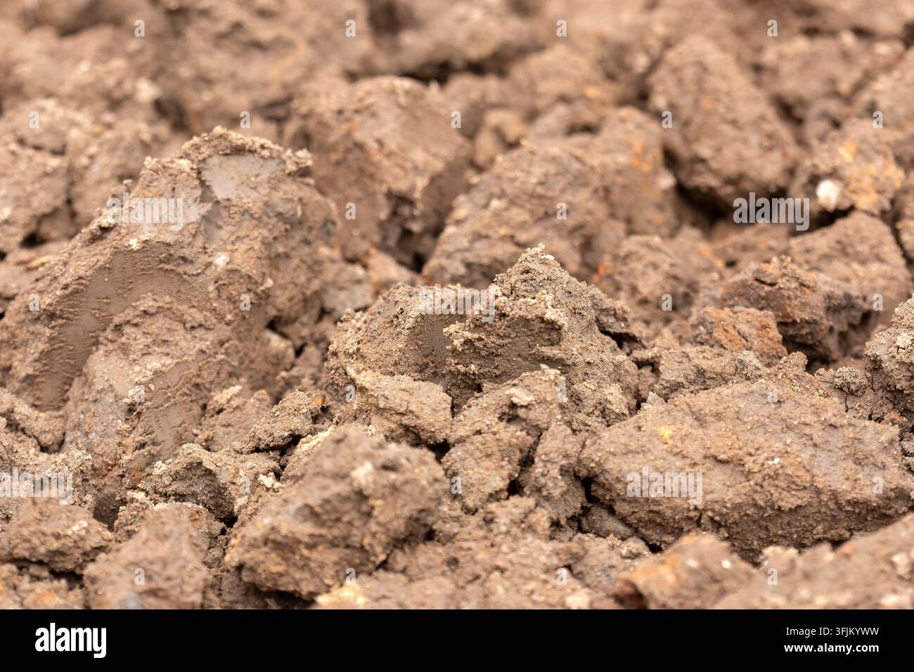 Terreno argilloso, strato superficiale pesante di scarsa qualità, appena scavato in uno sfondo da giardino. Concetto di giardinaggio domestico Foto Stock