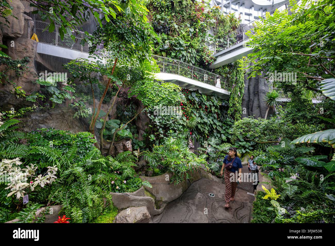 Shanghai, 11 agosto 2026: I visitatori esplorano la vegetazione lussureggiante e le cascate all’interno del Giardino delle Serre di Shanghai Foto Stock