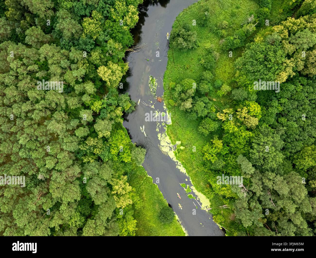 Prospettiva a volo d'uccello del kayak nella natura selvaggia polacca estiva. Fare sport nella natura Foto Stock