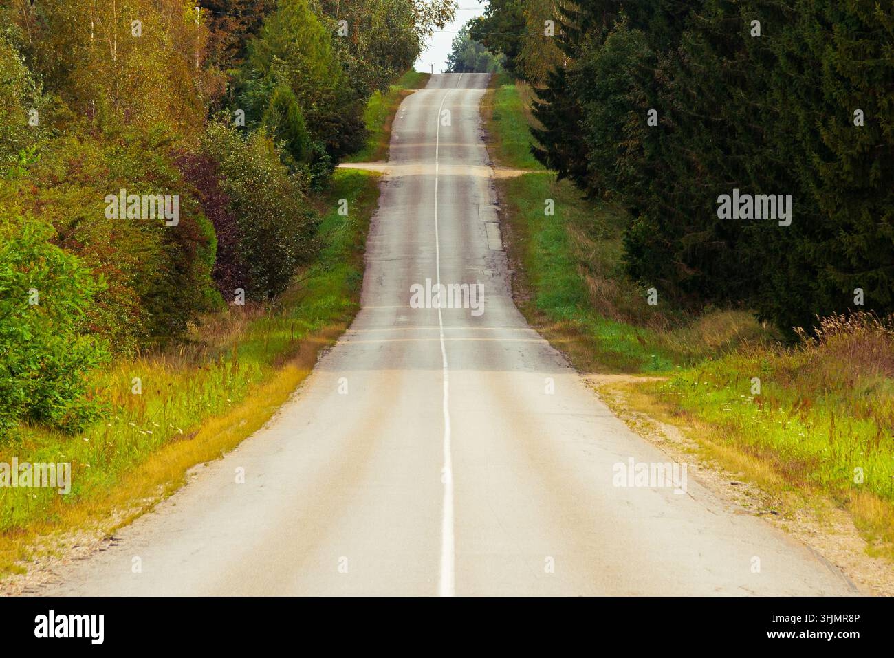 Antica strada panoramica attraverso una foresta autunnale con una strada asfaltata vuota e un'area di testo. Foto Stock
