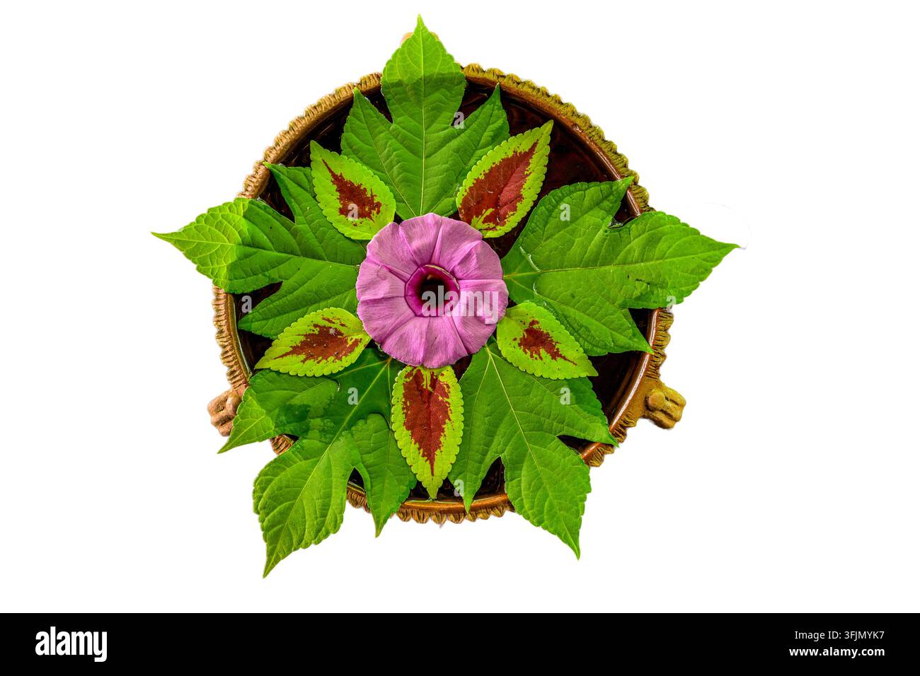 Una disposizione decorativa tradizionale di tipo rangoli splendidamente realizzata con foglie verdi fresche, fiori vivaci ed elementi naturali intricati, c Foto Stock