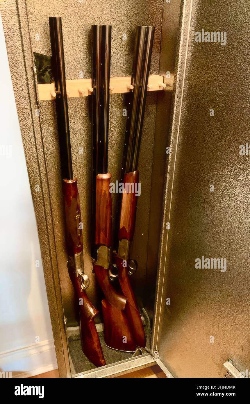 Tre fucili classici in legno conservati ordinatamente in posizione verticale all'interno di un armadio per armi in acciaio con porta aperta in un ambiente domestico. Foto Stock
