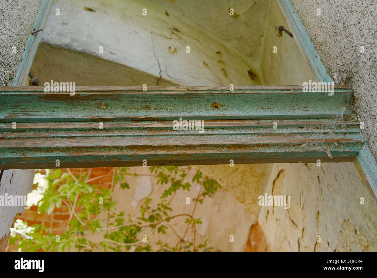 Primo piano di una trave di legno verde consumata all'interno di un edificio abbandonato in rovina con muri di mattoni e fogliame verde. Foto Stock