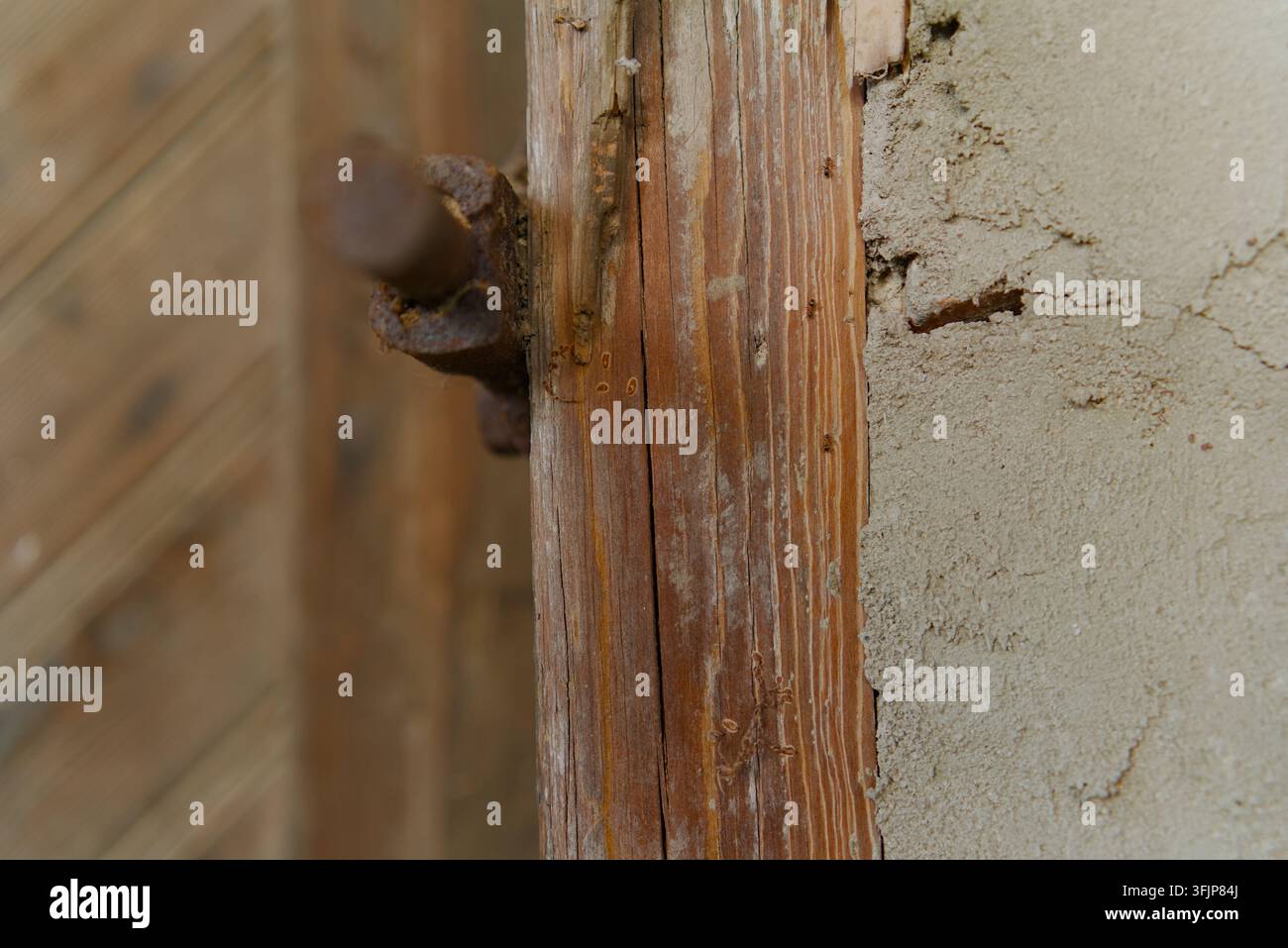 Prima piano di una cornice di porta in legno sconnessa fissata a un muro di intonaco ruvido, con un bullone di metallo arrugginito. Foto Stock