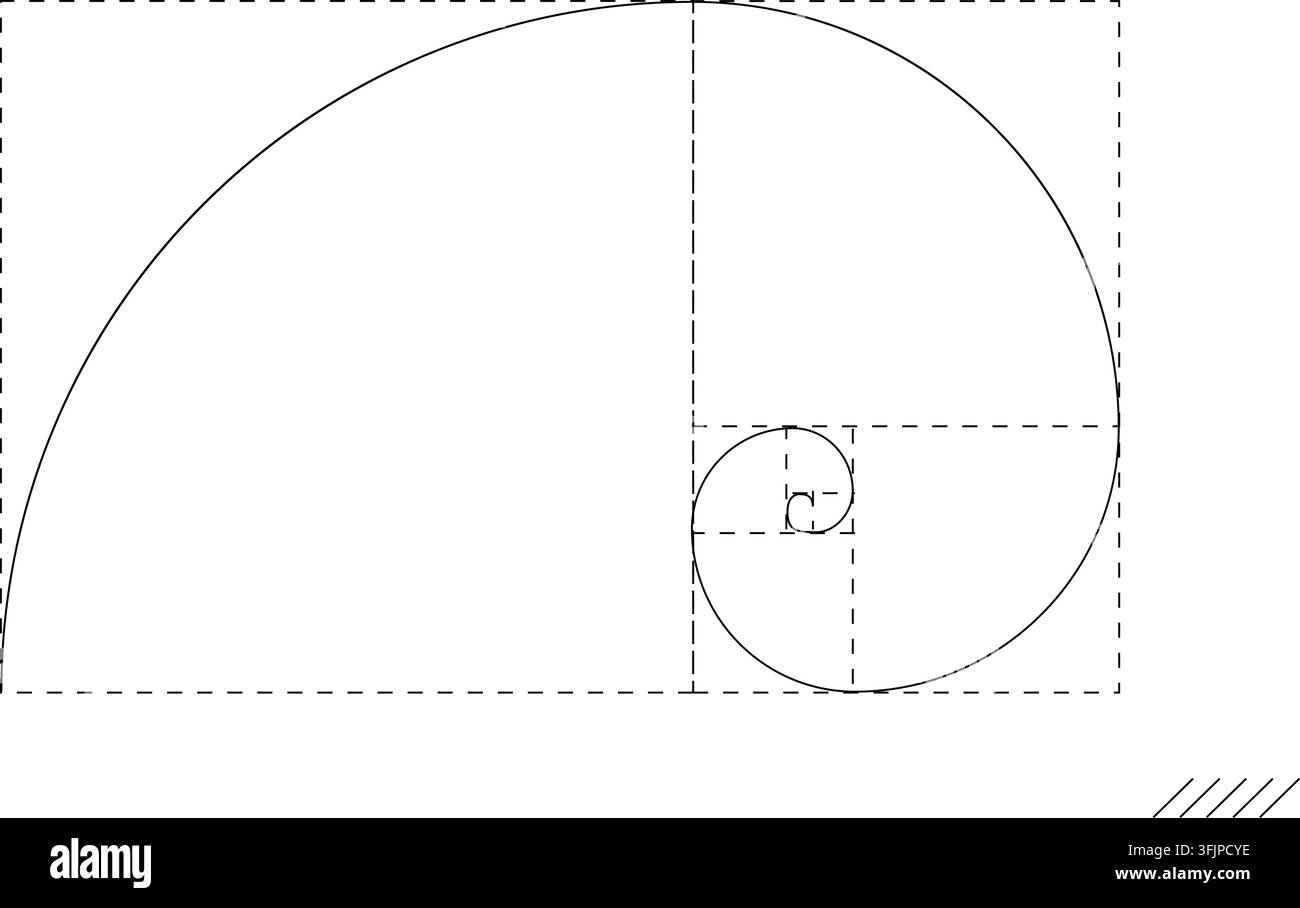 Spirale della sezione aurea sequenza di Fibonacci disegno lineare bianco. Sottile linea spirale curva inscritta in un sistema a griglia rettangolare tratteggiata sfondo bianco ha Illustrazione Vettoriale