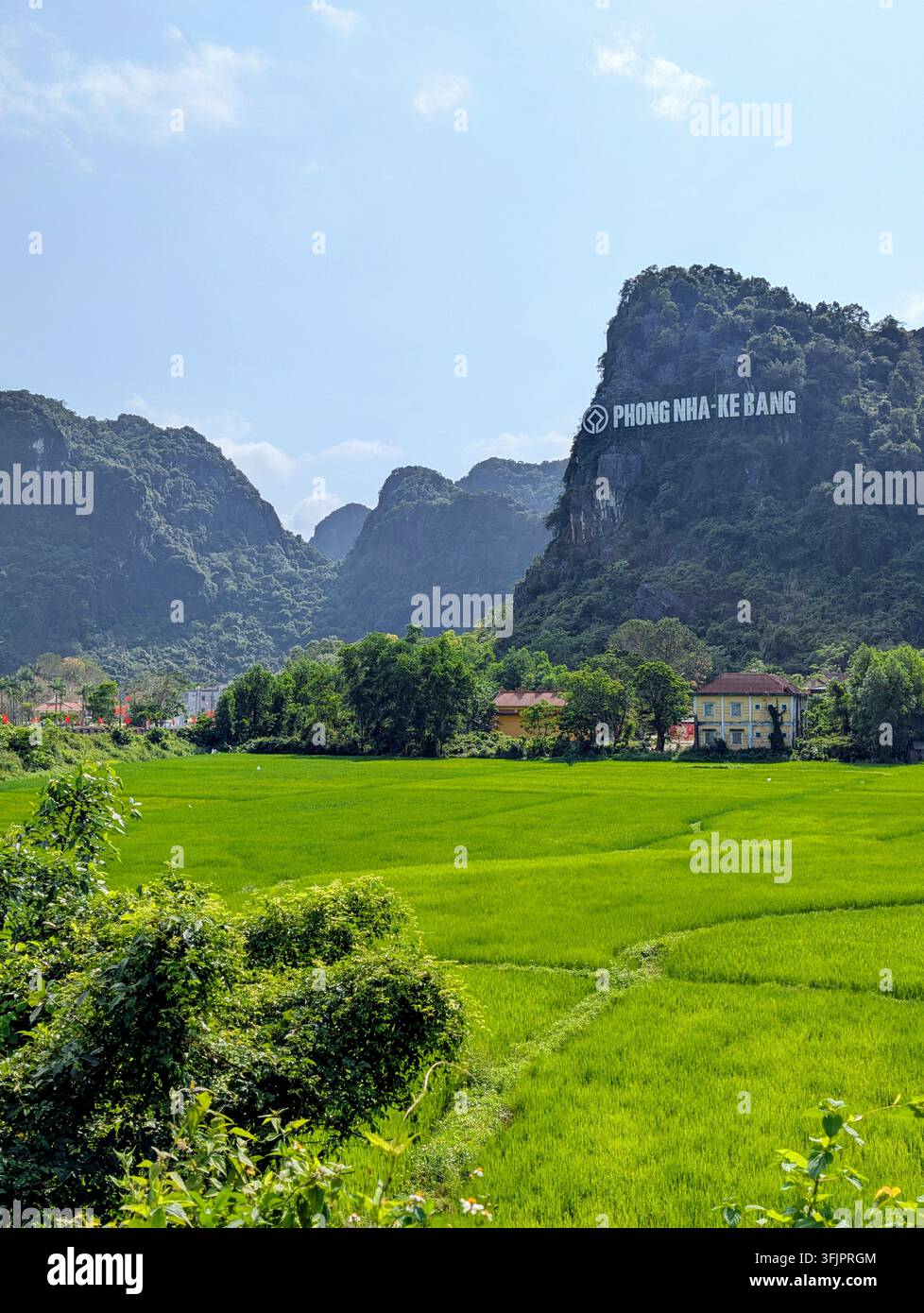 PHONG NHA, VIETNAM - 17 MARZO 2026: Campo di riso di un verde vibrante in primo piano con montagne karstiche in calcare che mostrano il prominente Phong Nh - Immagine stock catturata con smartphone