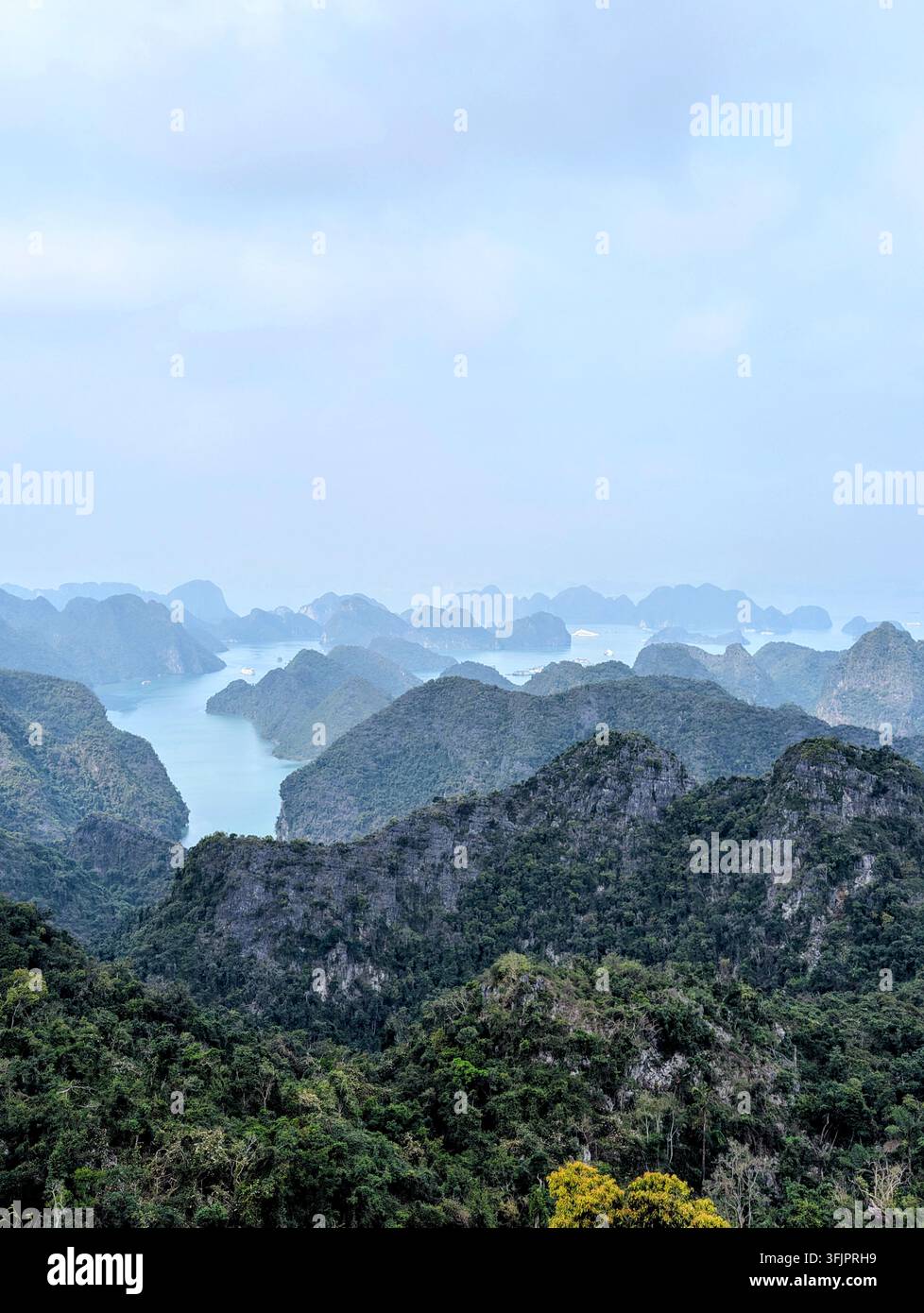 Paesaggio panoramico elevato che mostra le acque del mare che si snodano tra picchi karstici di calcare boscosi sotto un cielo blu morbido e nebbioso nella baia di Lan Ha. - Immagine stock catturata con smartphone