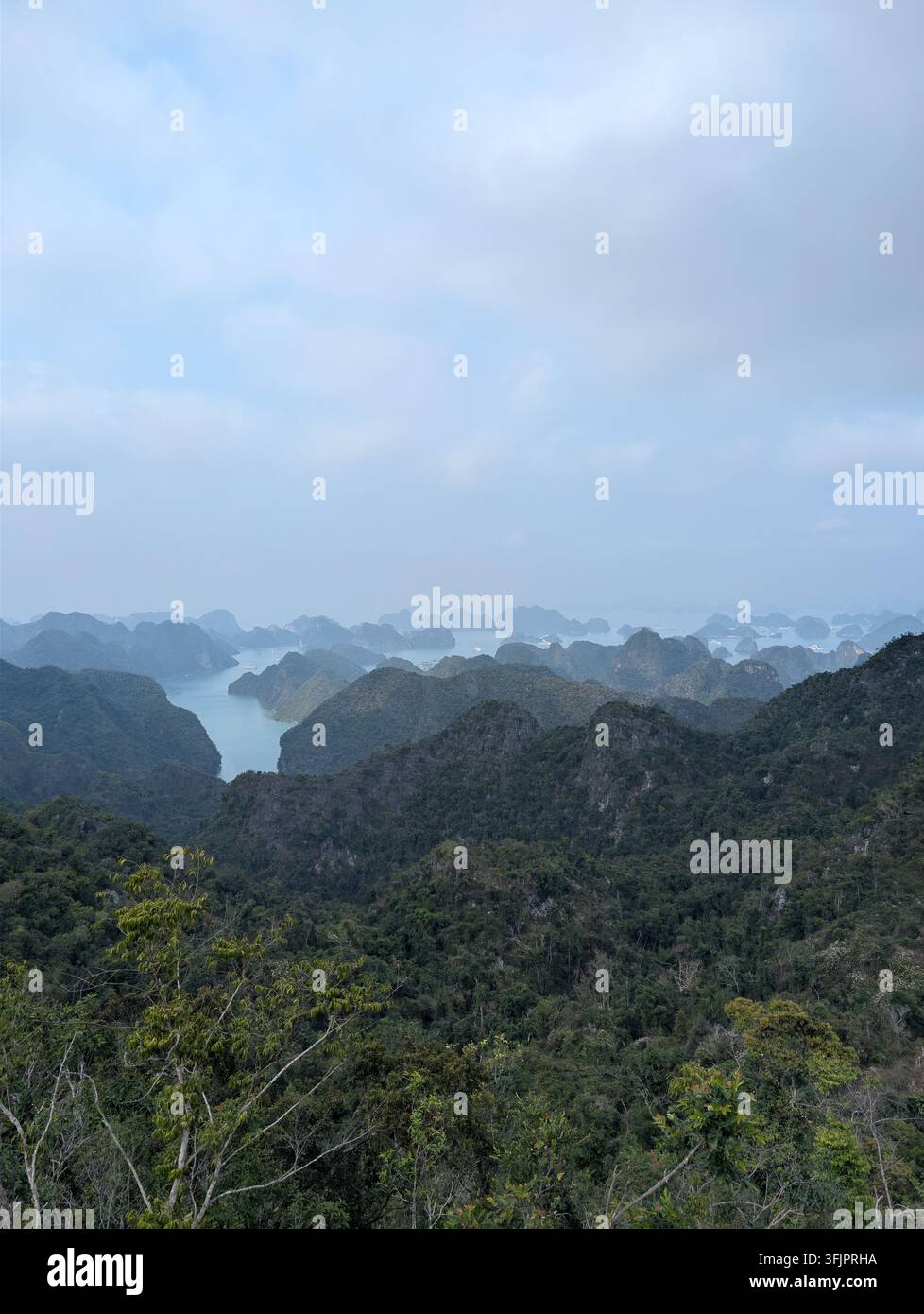 Paesaggio panoramico elevato che mostra le acque del mare che si snodano tra picchi karstici di calcare boscosi sotto un cielo blu morbido e nebbioso nella baia di Lan Ha. - Immagine stock catturata con smartphone