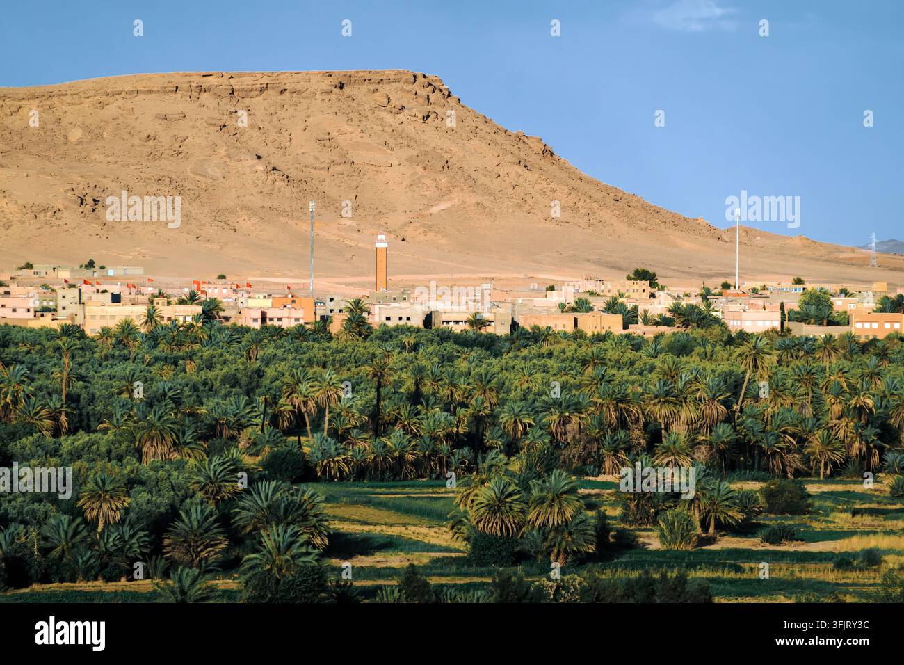 Palmeti dell'oasi di Tinghir e città marocchina Foto Stock