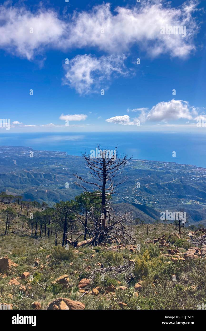 Ampio panorama montano che rivela lo scintillante Mar Mediterraneo, Estepona e la lontana Gibilterra sotto i cieli aperti dalla Sierra Bermeja in Spagna. - Immagine stock catturata con smartphone