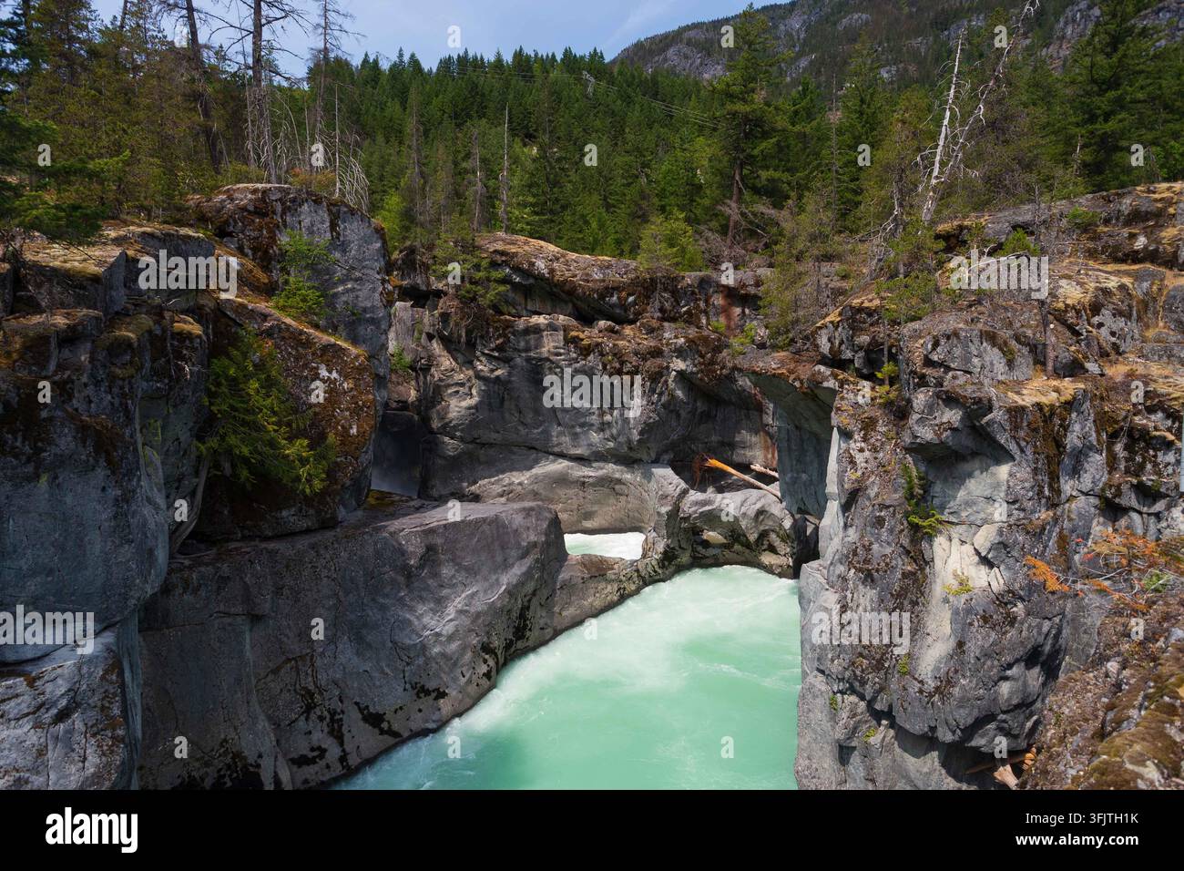 Una cascata mozzafiato che si riversa in acque turchesi vibranti in un parco regionale all'interno della catena montuosa costiera della British Columbia. Circondato da rigoglioso C Foto Stock