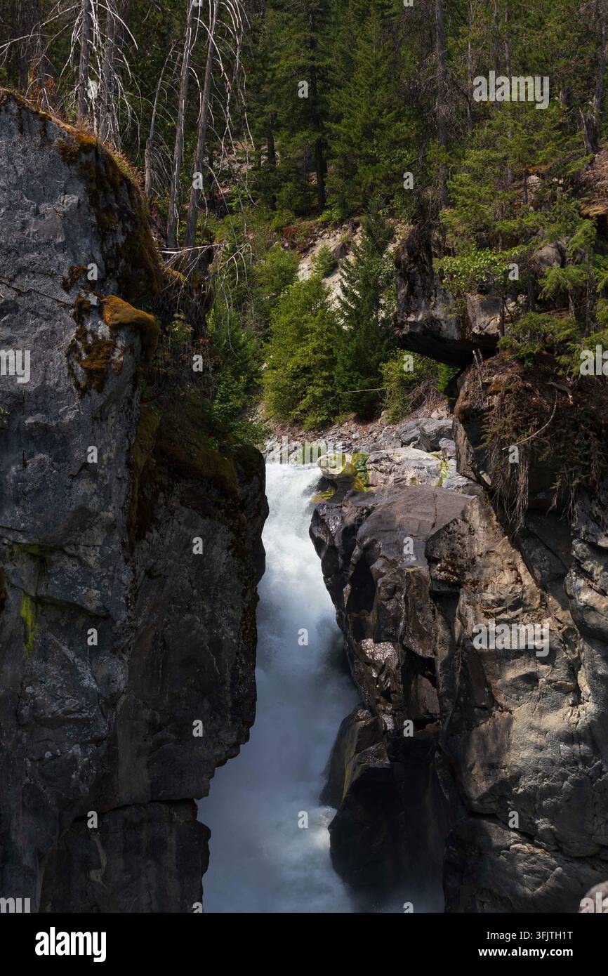 Una cascata mozzafiato che si riversa in acque turchesi vibranti in un parco regionale all'interno della catena montuosa costiera della British Columbia. Circondato da rigoglioso C Foto Stock
