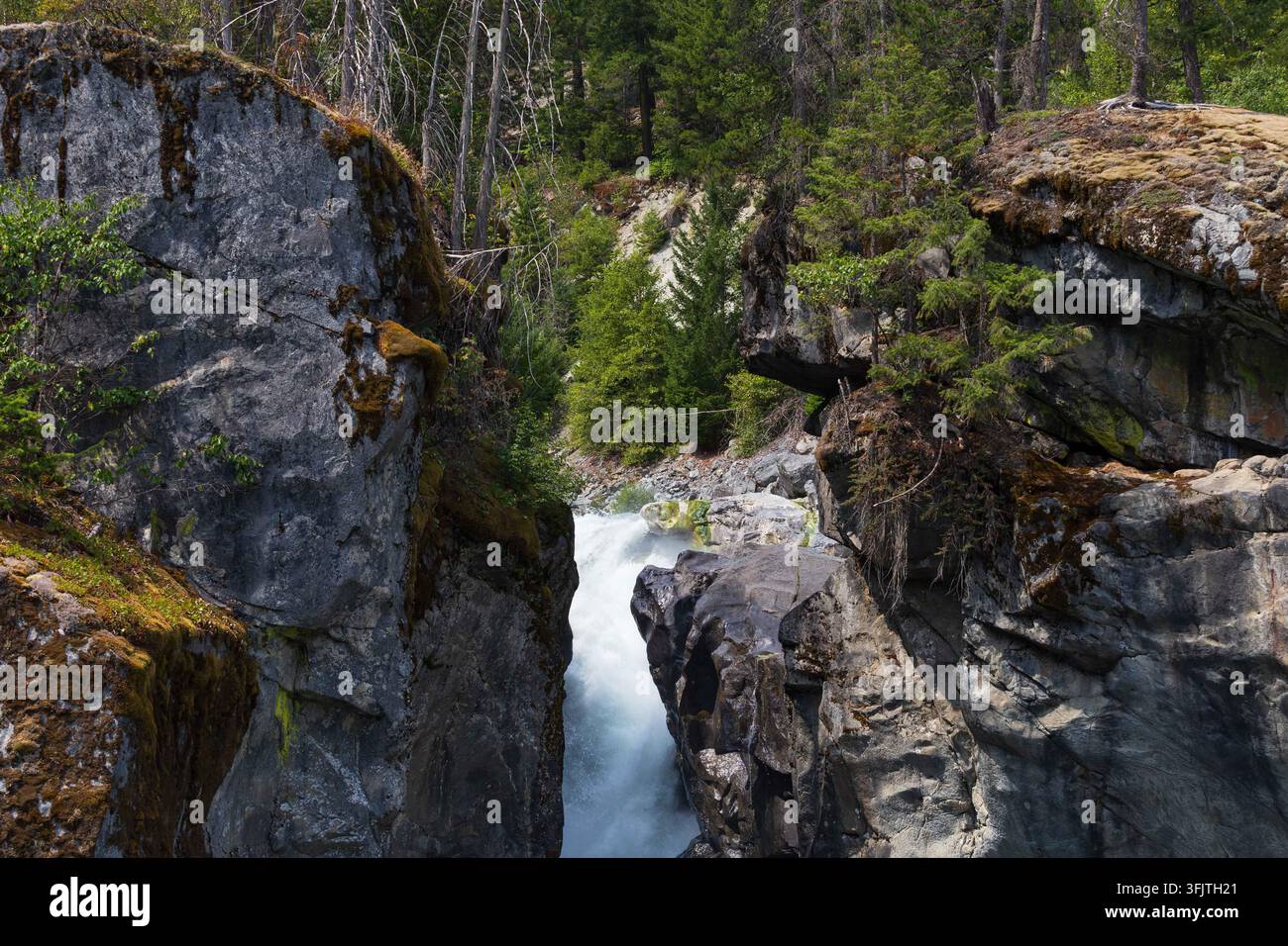 Una cascata mozzafiato che si riversa in acque turchesi vibranti in un parco regionale all'interno della catena montuosa costiera della British Columbia. Circondato da rigoglioso C Foto Stock