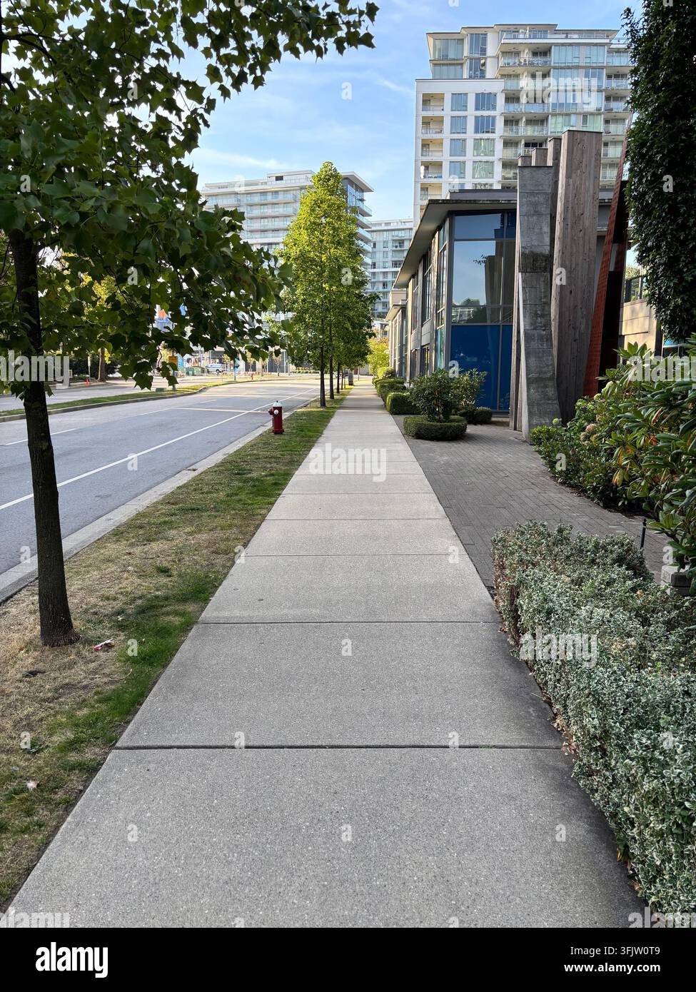 Un marciapiede diritto in cemento attraversa un quartiere urbano soleggiato, delimitato da alberi verdi e incorniciato da grattacieli moderni - Immagine stock catturata con smartphone