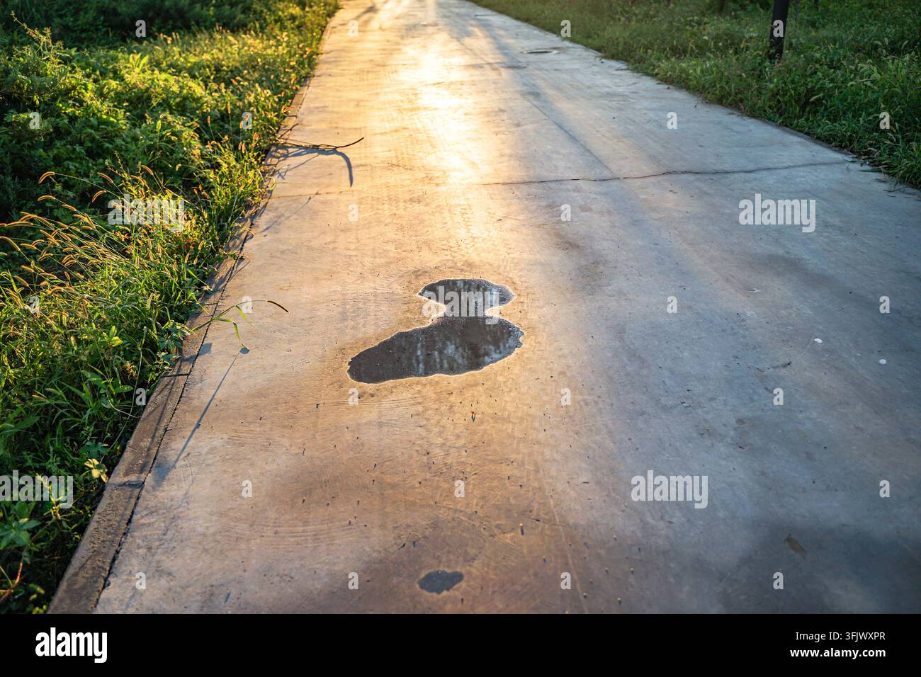 Riflessi di pozzanghere su un sentiero di cemento al tramonto Foto Stock