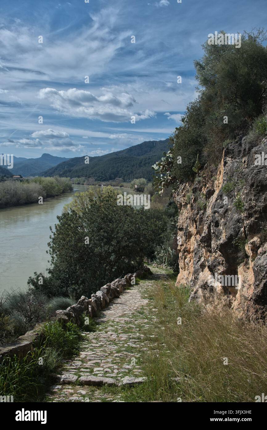 Antico sentiero lastricato per muli lungo l'Ebro nella provincia di Tarragona, Spagna. Sentiero pedonale lungo una scogliera di calcare circondata da alberi e montagne lontane Foto Stock