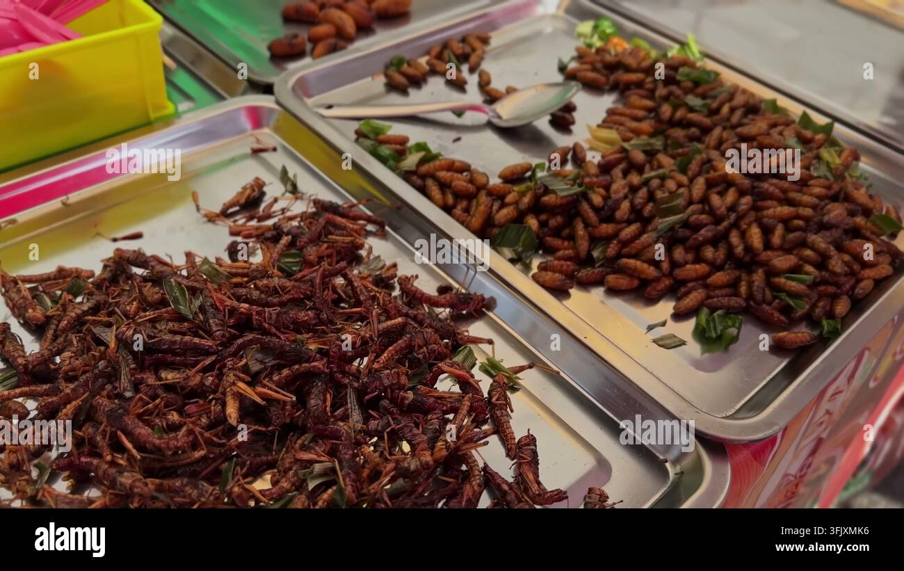 BANGKOK, THAILANDIA - 15 MARZO 2026: Cavallette fritte e pupe di bachi da seta condite con erbe aromatiche esposte su vassoi di metallo in un mercato di strada locale Foto Stock