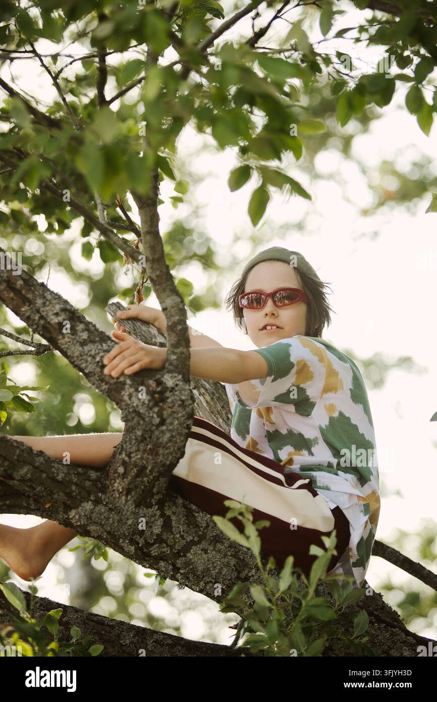 Bambino con occhiali da sole seduto su un ramo di albero all'aperto Foto Stock