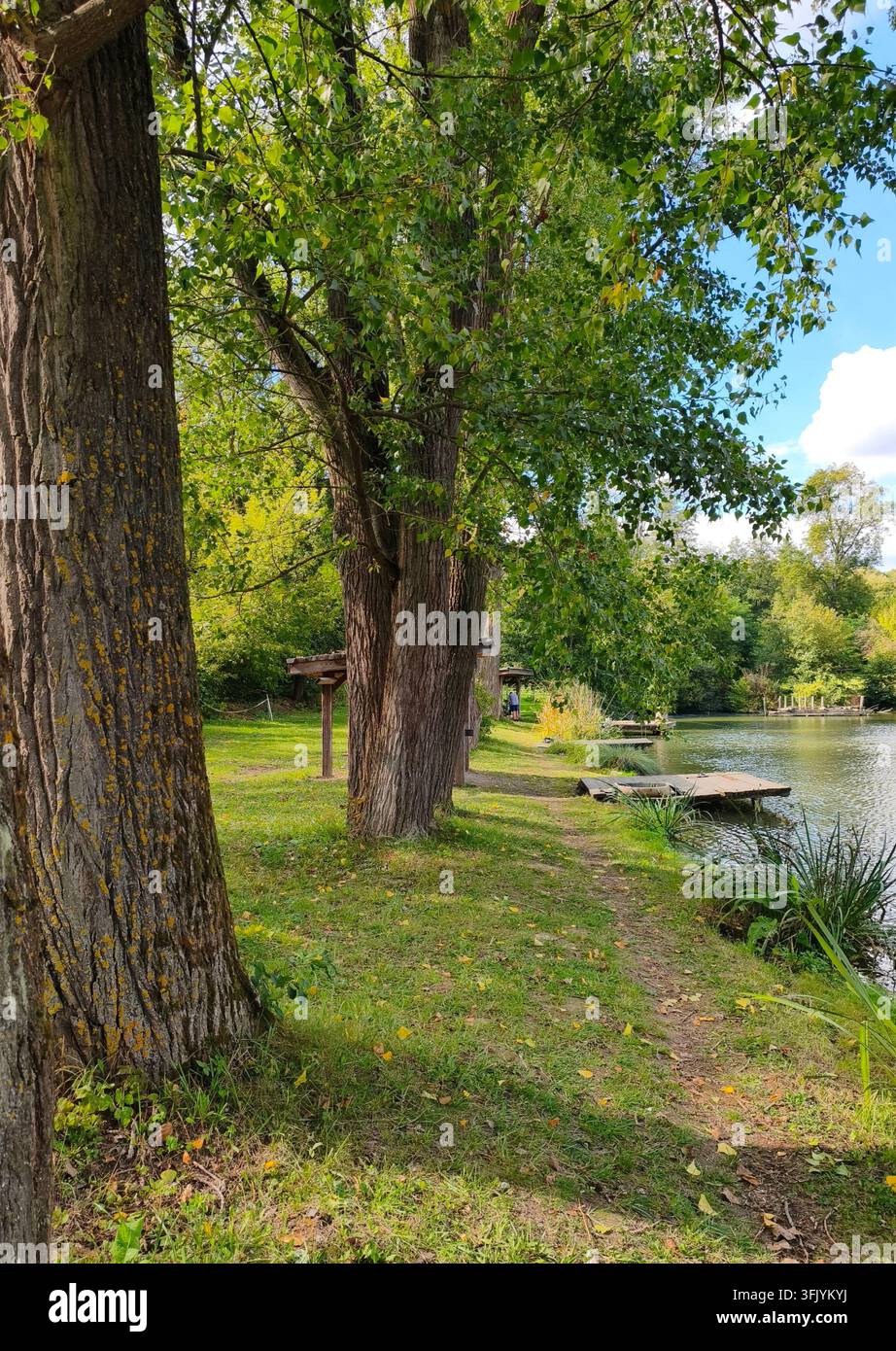Pistegni da pesca vicino a uno stagno sotto grandi alberi - Immagine stock catturata con smartphone