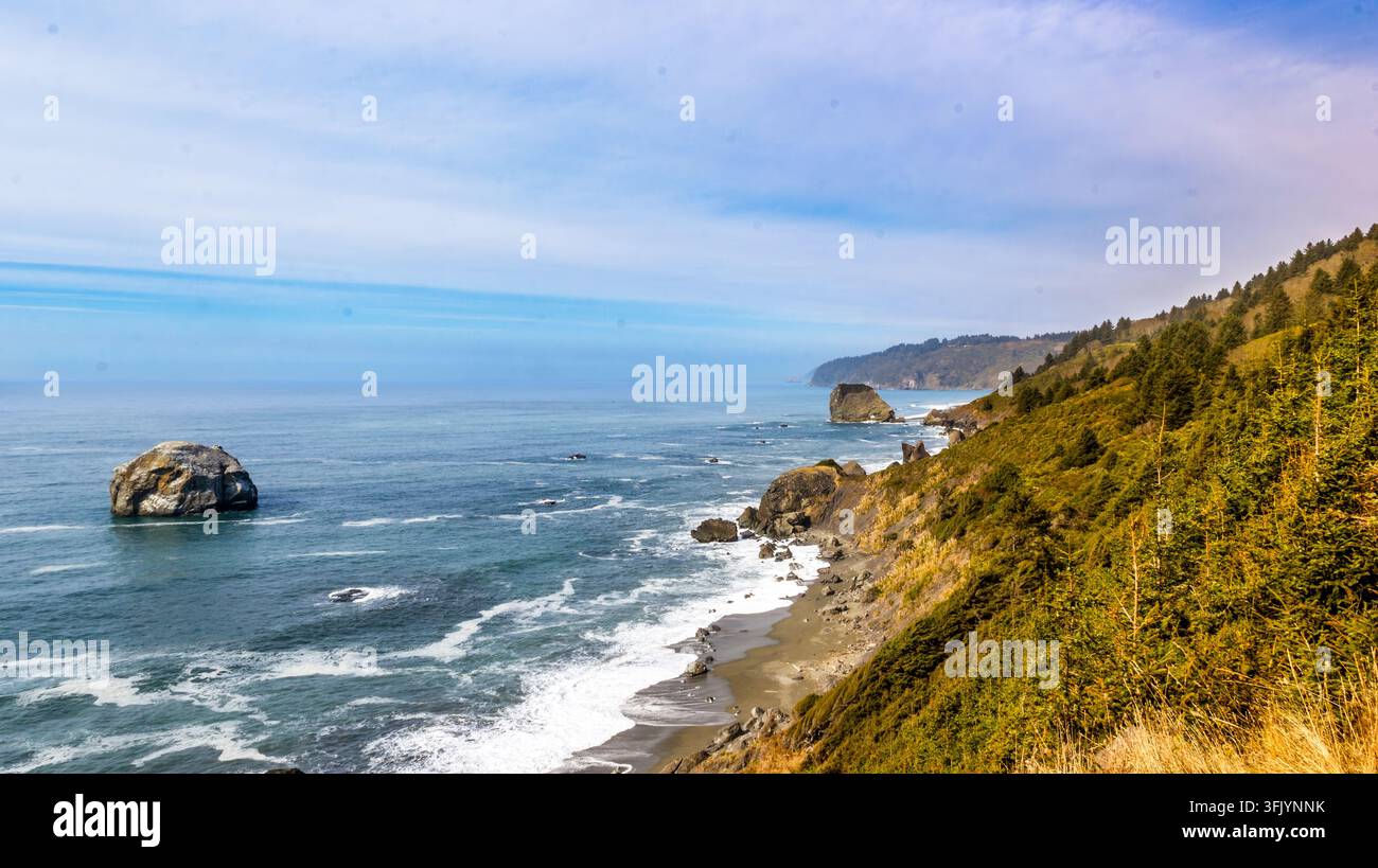Costa frastagliata della Nord California con pilastri marini e scogliere boschive Foto Stock
