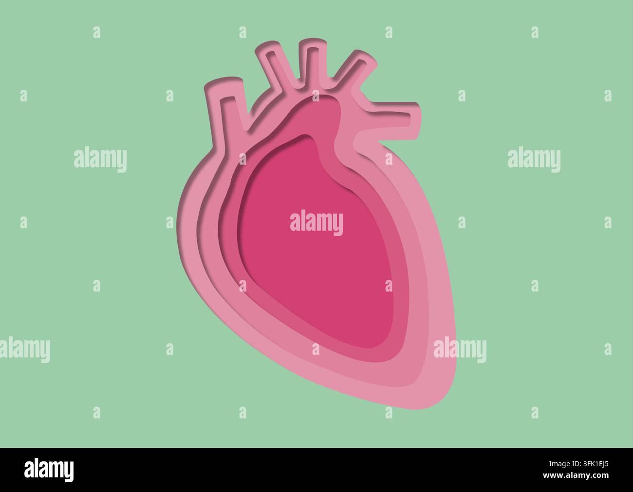 Il cuore umano, illustrazione. Foto Stock