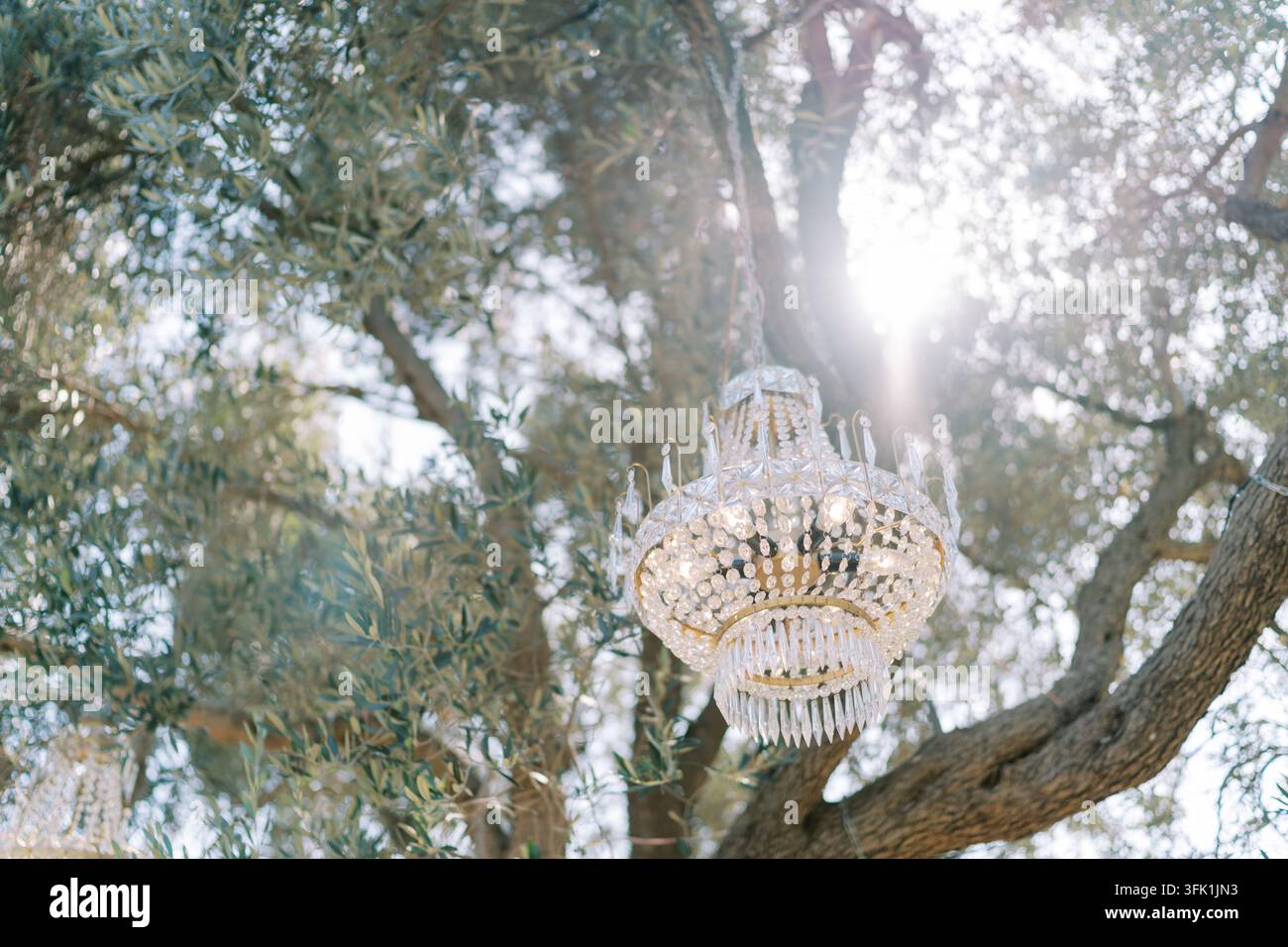 Lampadario di cristallo appeso a un albero all'aperto Foto Stock