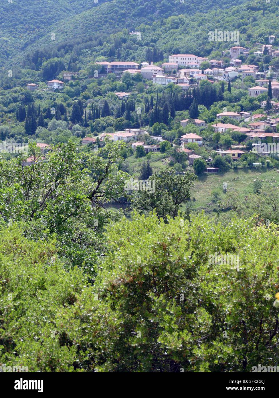 Villaggio di Olympia con edifici tradizionali dalle tegole in terracotta che si fondono in un paesaggio collinare fitto e verdeggiante, che mostra la bellezza naturale Foto Stock