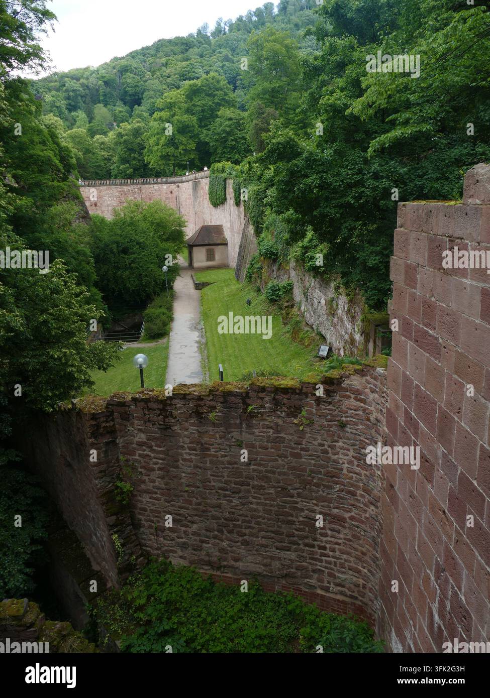 HEIDELBERG, GERMANIA - 26 MAGGIO 2025 - Mura di castello in pietra che dividono cortili interni storici, piante verdeggianti che si arrampicano su superfici erose Foto Stock