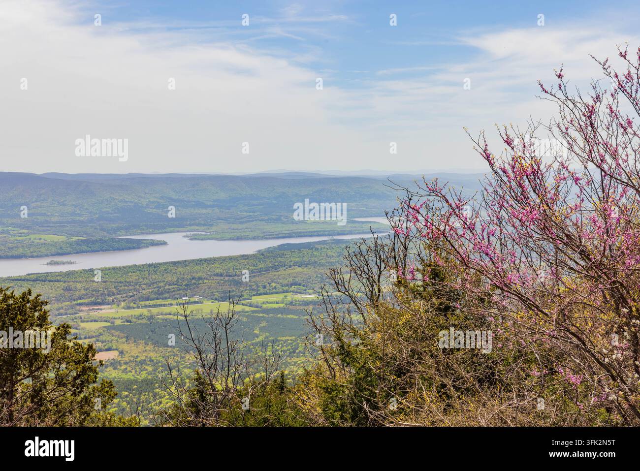 Fiori rosa decorano rami sottili in primo piano sopra una vista ampia di un fiume sinuoso e montagne verdi lussureggianti. Foto Stock